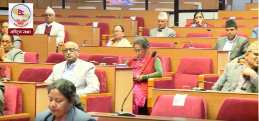 राष्ट्रिय सभा बैठक बस्दै 